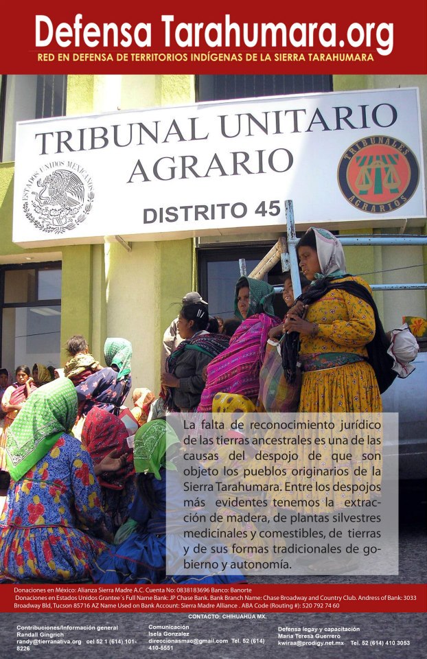 Defensa Tarahumara