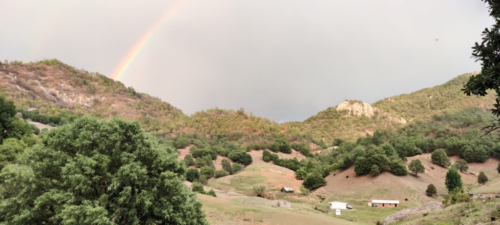 Paisaje en la comunidad indígena de Coloradas de la Vírgen, Guadalupe y Calvo, Chihuahua, México. Fuente: Mariana Villarreal